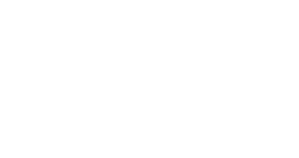 Scripted Paradise